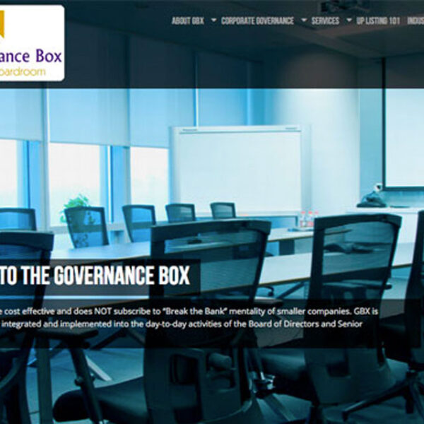 The Governance Box
