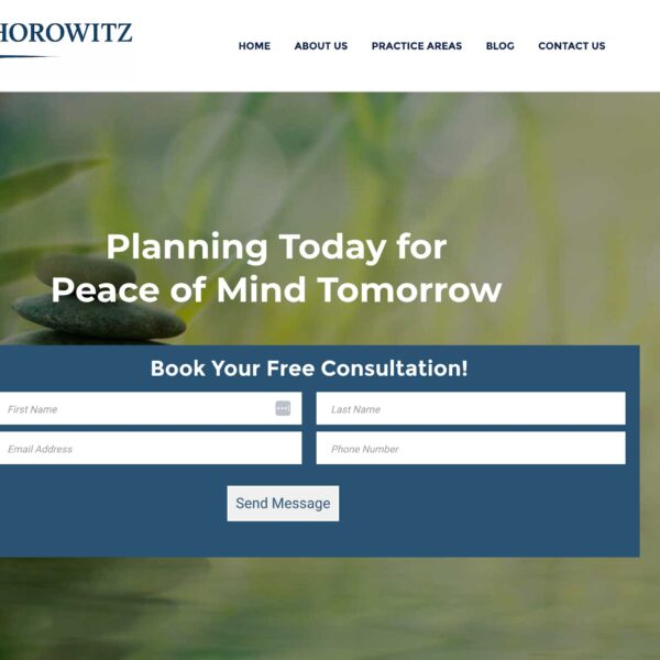 Alexander Horowitz Law